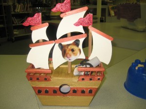 S.S. Golden Hamster from Adventure According to Humphrey